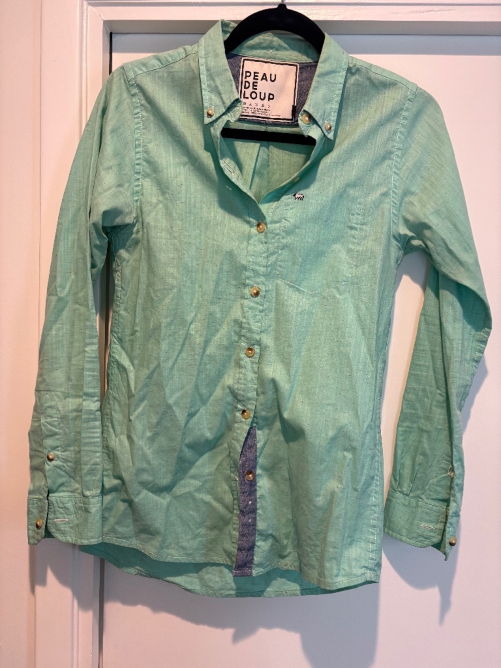 Peau de Loup Mint Green Button Down Oxford Shirt Size 4